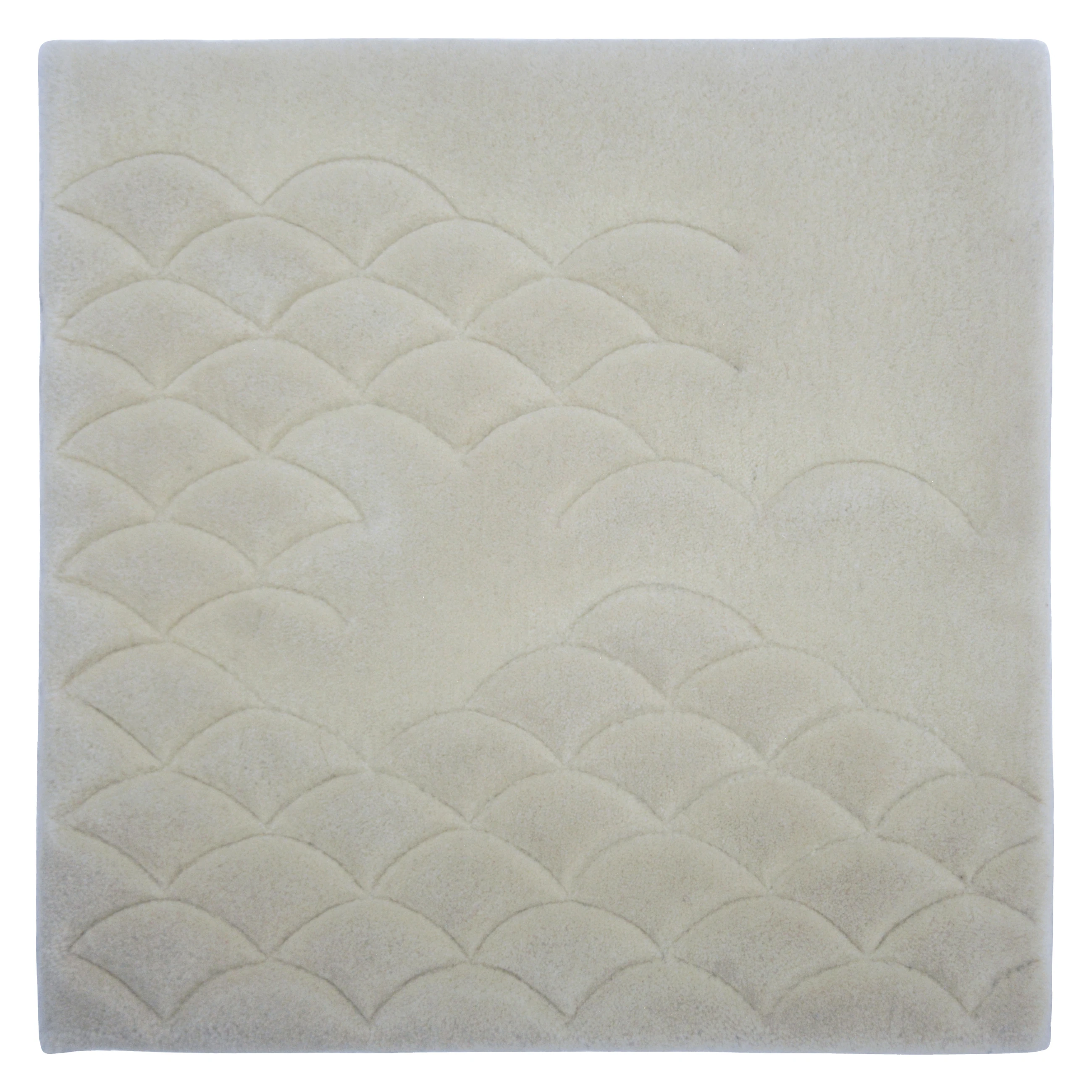 Scallop Arc